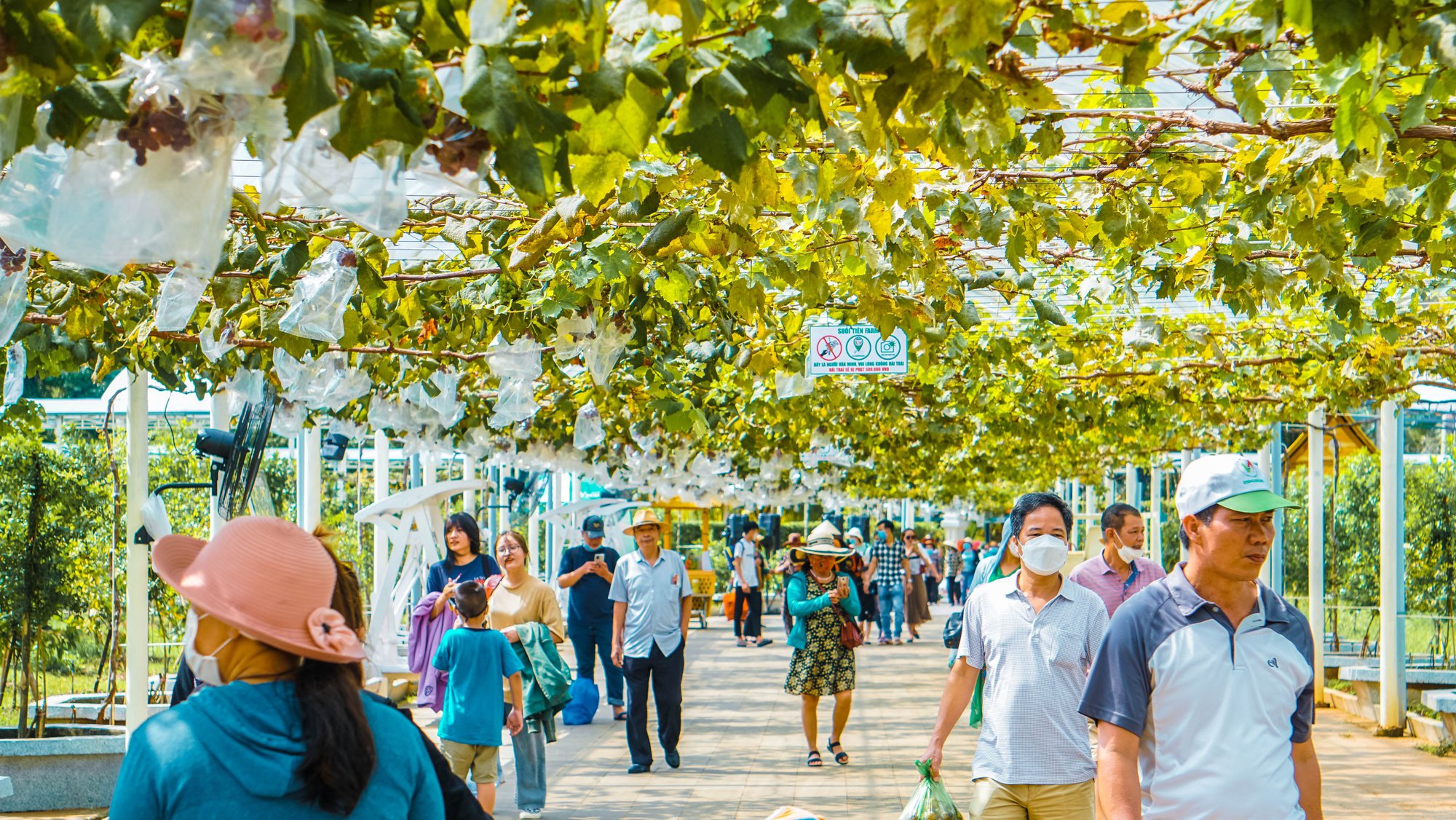 Mô hình nông trại Suối Tiên Farm có gì lạ?