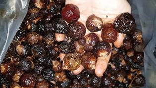 Vị ngọt bồ h&ograve;n cho người trồng - Ảnh 2.
