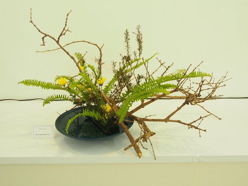 Triển l&atilde;m hoa đạo Ikebana Nhật Bản đang diễn ra tại TP HCM - Ảnh 8.