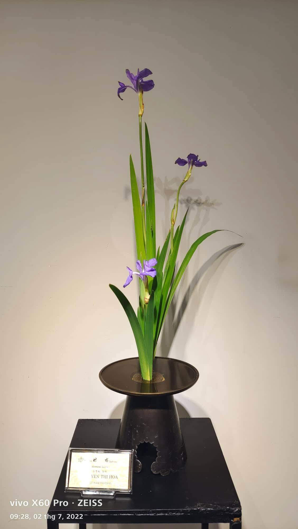 Triển l&atilde;m hoa đạo Ikebana Nhật Bản đang diễn ra tại TP HCM - Ảnh 1.