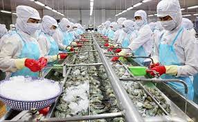 Doanh nghiệp thủy hải sản thiếu nguyên liệu