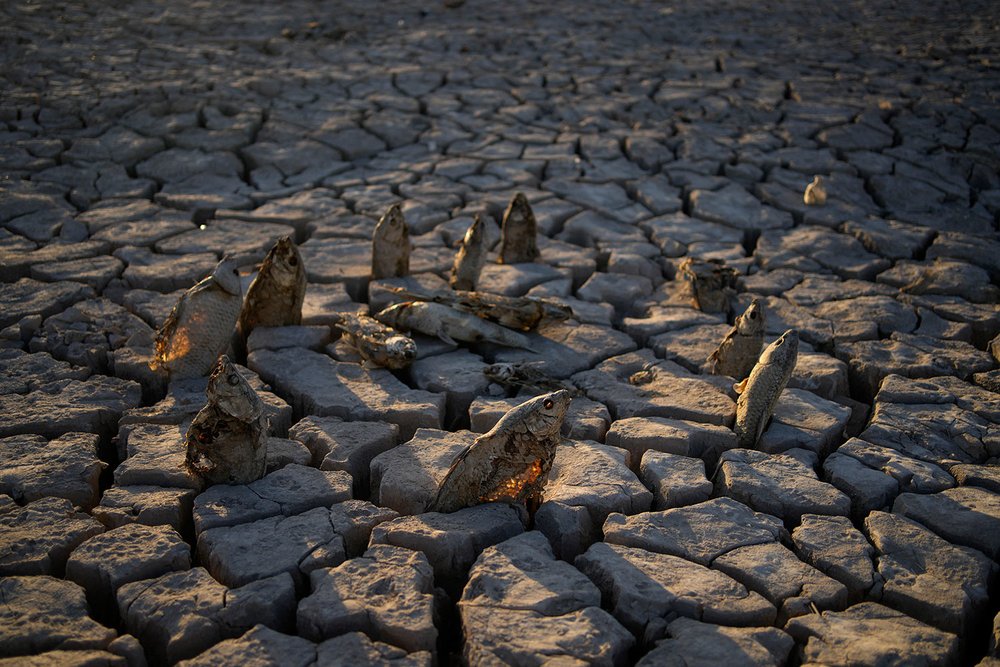Thế giới giữa tận thế nhiệt - Ảnh 12.