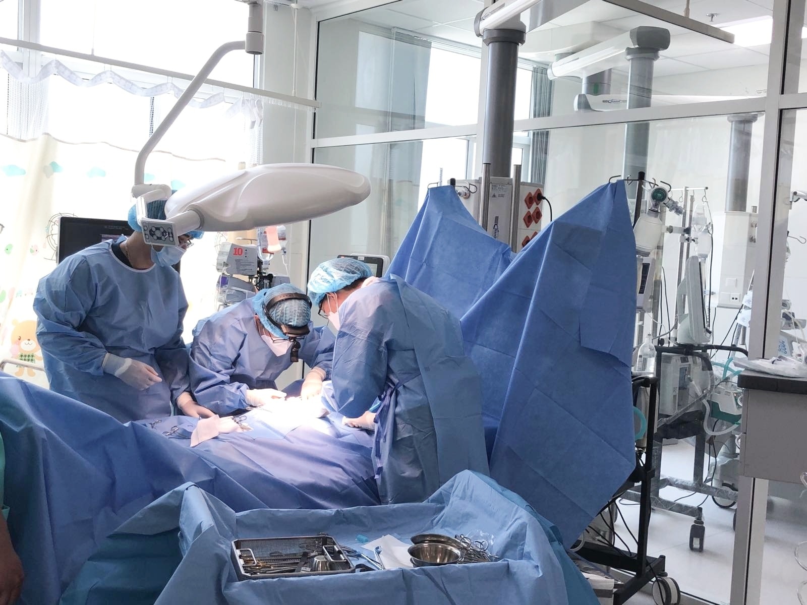 Bé trai 5 tuổi bị ong vò vẽ đốt 15 mũi phải chạy ECMO