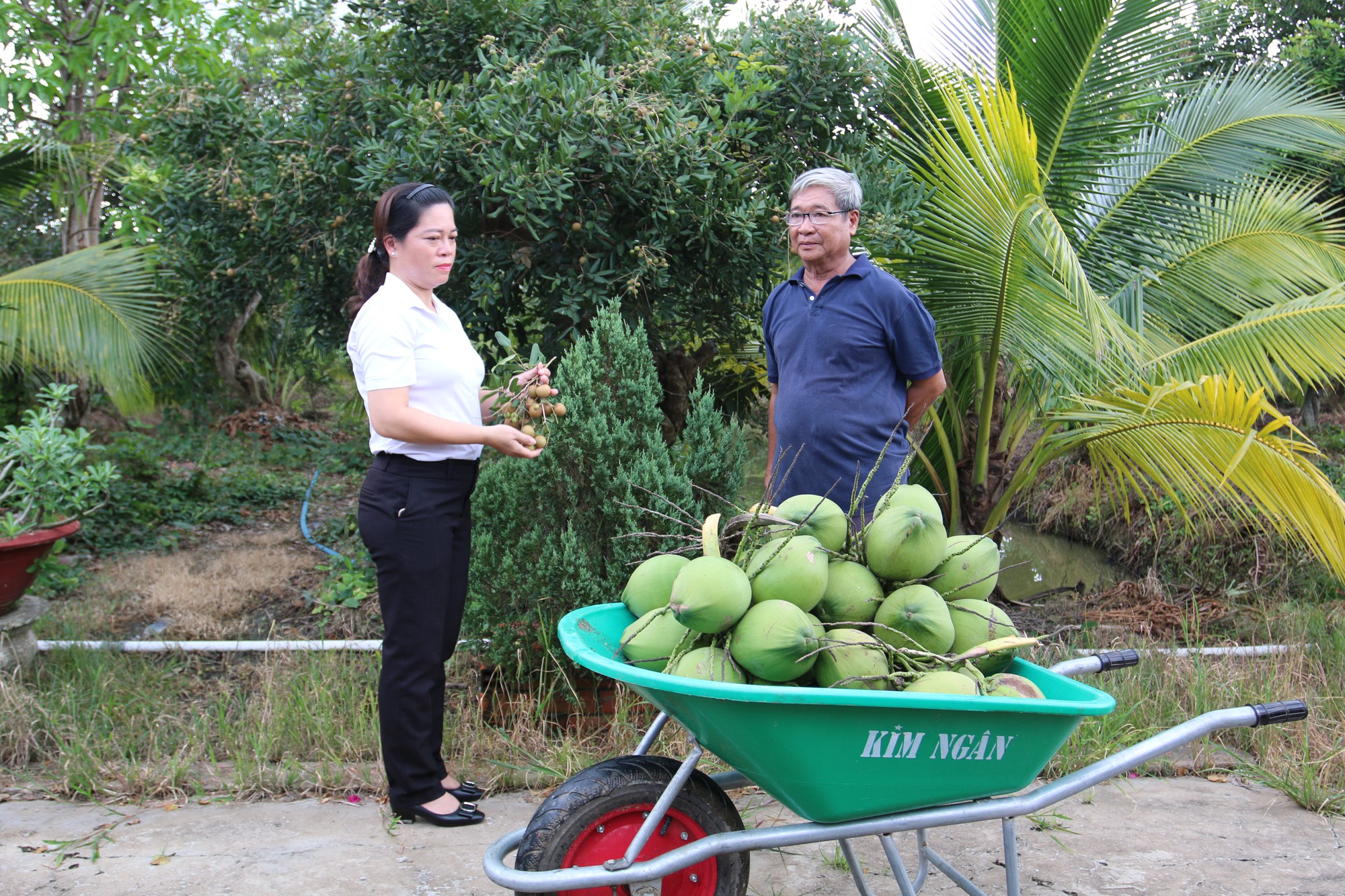 Agribank Bến Tre đồng h&agrave;nh c&ugrave;ng người d&acirc;n, doanh nghiệp vượt qua kh&oacute; khăn sau dịch Covid-19 - Ảnh 1.