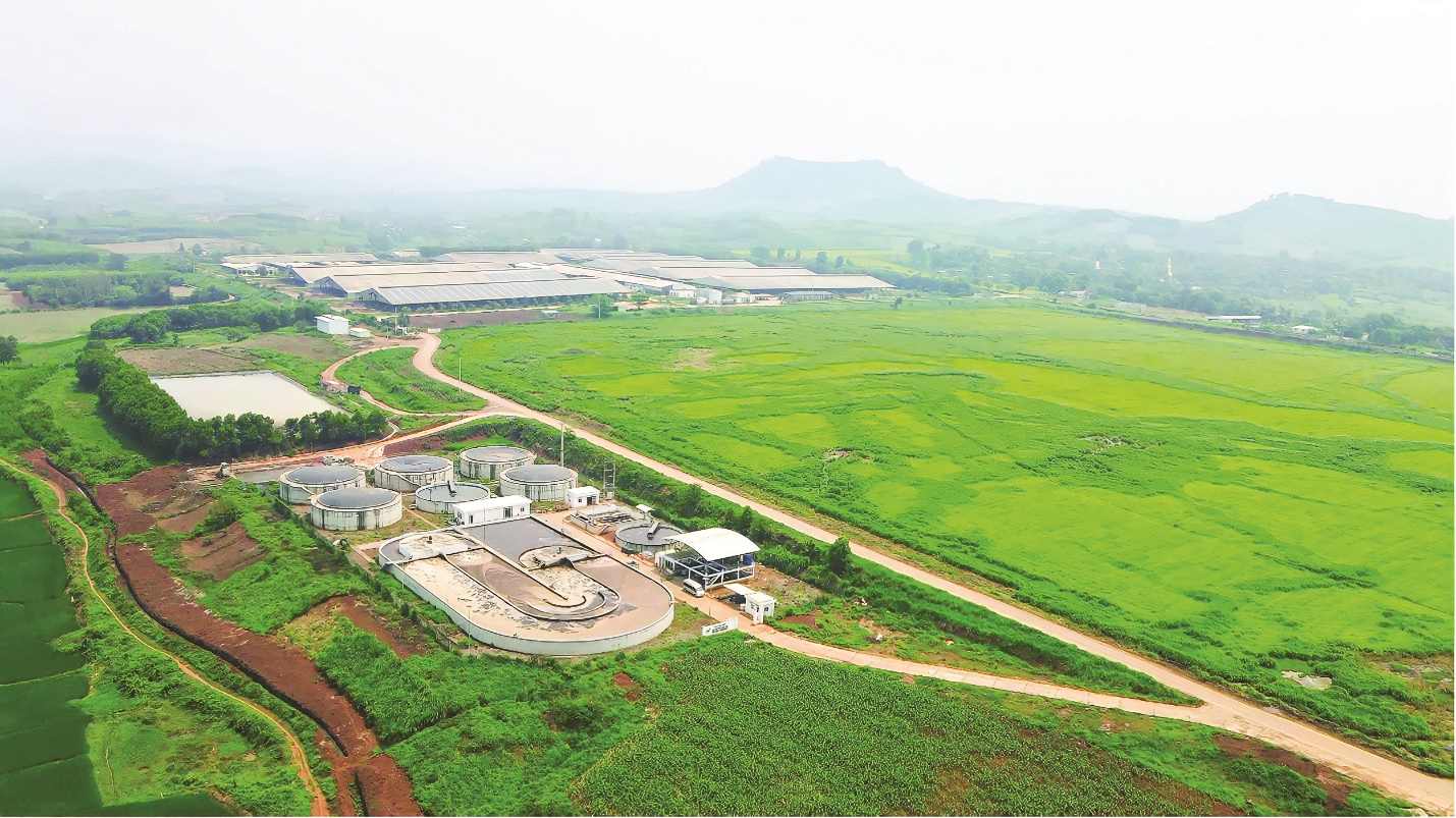 Trái ngọt từ mô hình kinh tế tuần hoàn và phát triển bền vững của Tập đoàn TH - Ảnh 3.