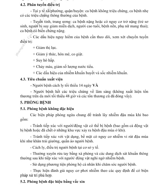 Bộ Y tế: Người mắc bệnh đậu mùa khỉ cách ly tối thiểu 14 ngày - Ảnh 3.