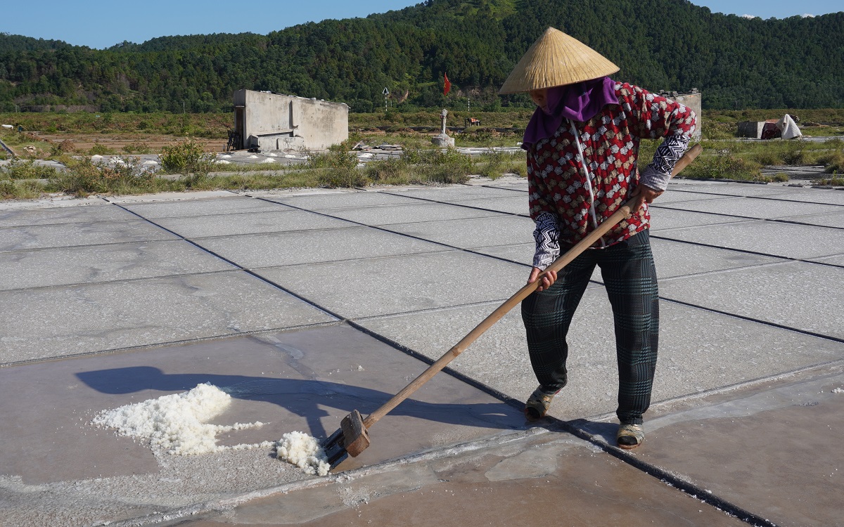 Nghề kỳ lạ, trời càng nắng như đổ lửa nông dân càng vui - Ảnh 12.