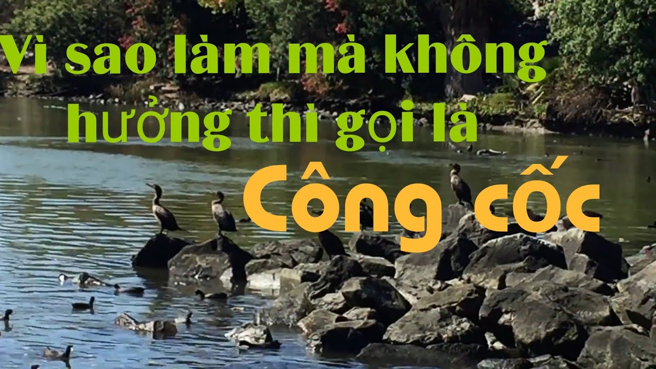 Công cốc