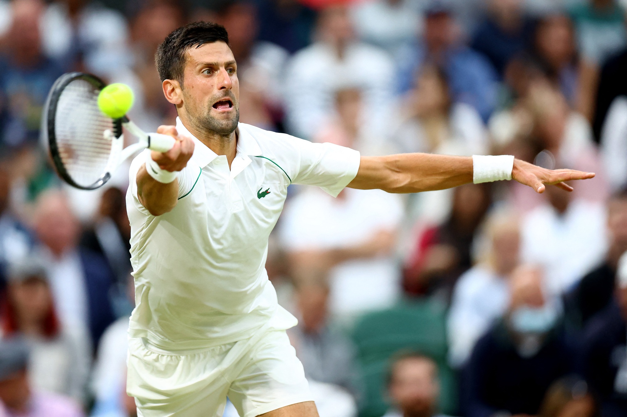 Djokovic vào tứ kết, lỡ hẹn "tiểu Nadal" tại Wimbledon 2022