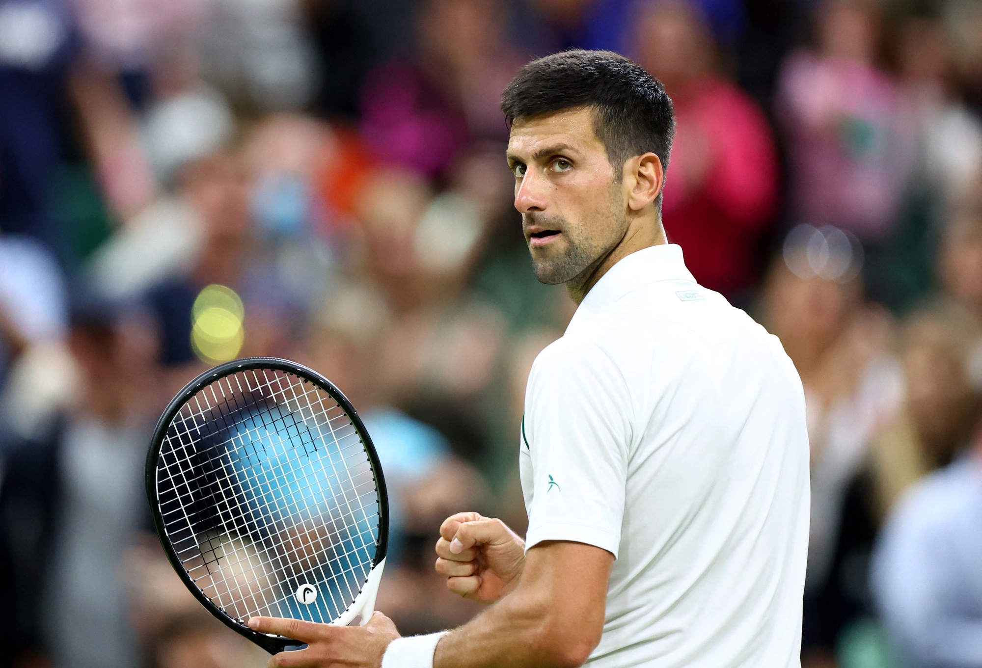 Djokovic v&agrave;o tứ kết, lỡ hẹn tiểu Nadal tại Wimbledon 2022 - Ảnh 3.