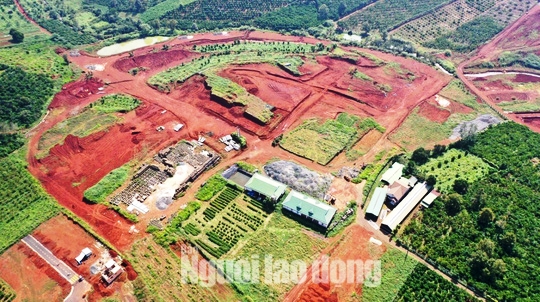 Lâm Đồng: Quy định mới về việc tách, hợp thửa đất sau cơn sốt đất ảo - Ảnh 1.