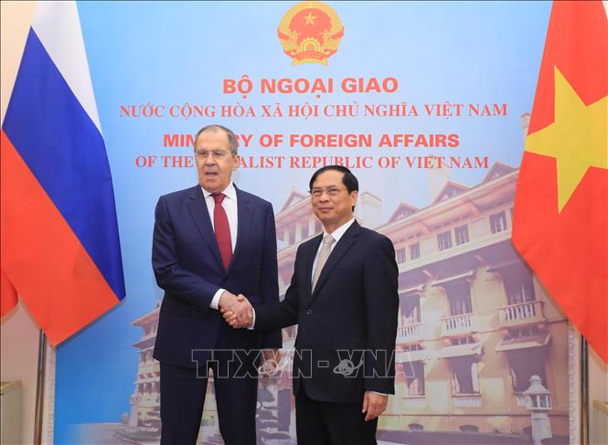 Bộ trưởng Ngoại giao Bùi Thanh Sơn hội đàm với Bộ trưởng Ngoại giao Nga Sergey Lavrov