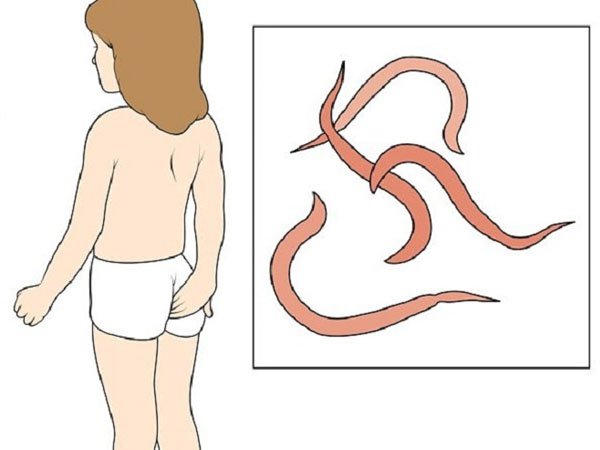 Trẻ mấy tuổi được uống thuốc tẩy giun sán?