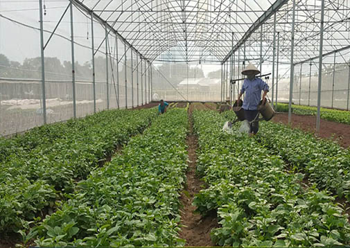Vì sao một đơn vị sự nghiệp của Sở NN-PTNT Bình Định bị đề nghị giải thể?