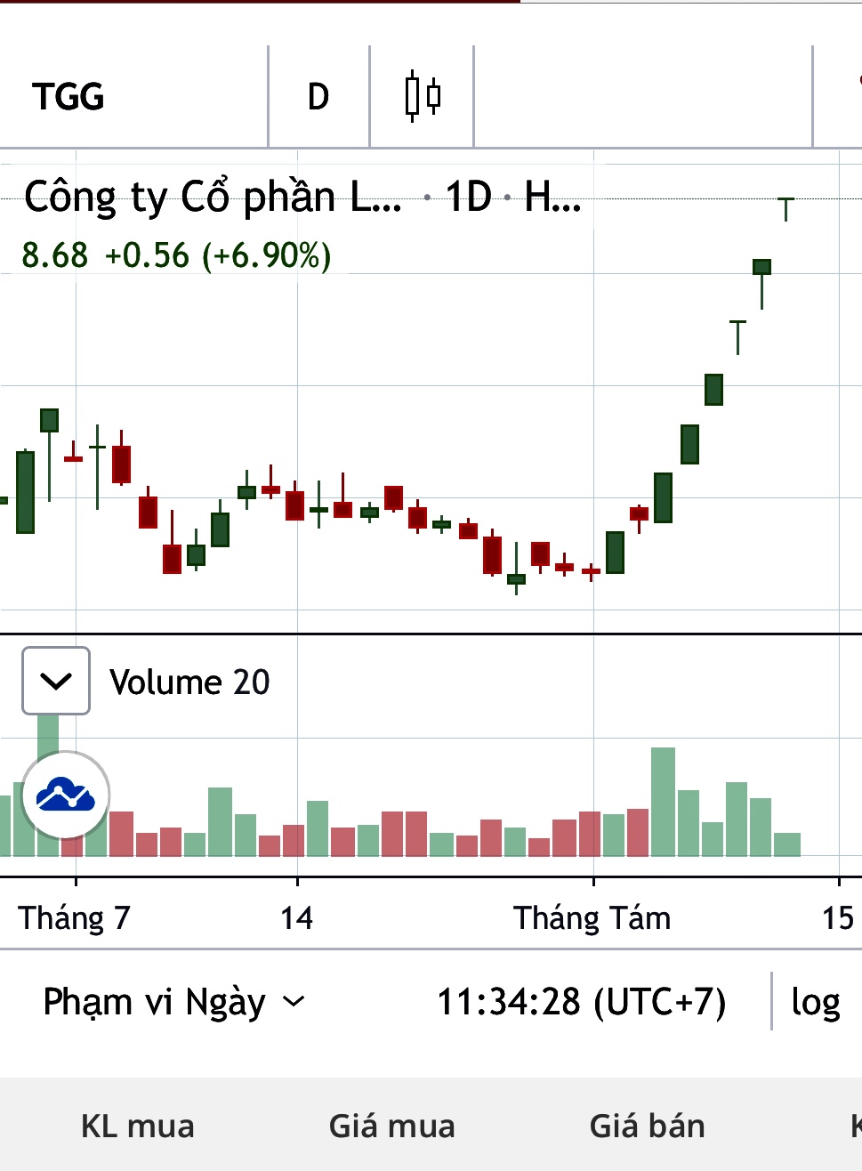 Cổ phiếu TGG của Louis Capital tăng trần 6 phiên liên tiếp, vì sao?