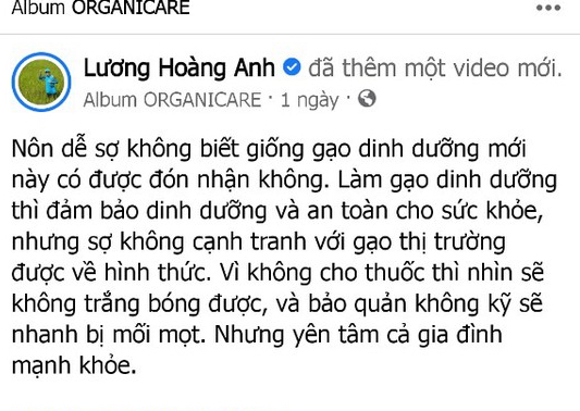 Facebooker Lương Ho&agrave;ng Anh ch&ecirc; gạo thị trường c&oacute; thuốc&rdquo;, doanh nghiệp bức x&uacute;c - Ảnh 2.
