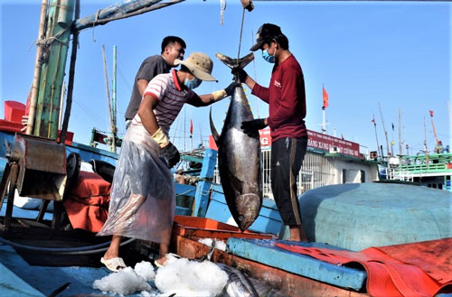 Sống trên biển bạc vẫn chưa thoát nghèo (*): Lớn thuyền, lớn sóng - Ảnh 2.