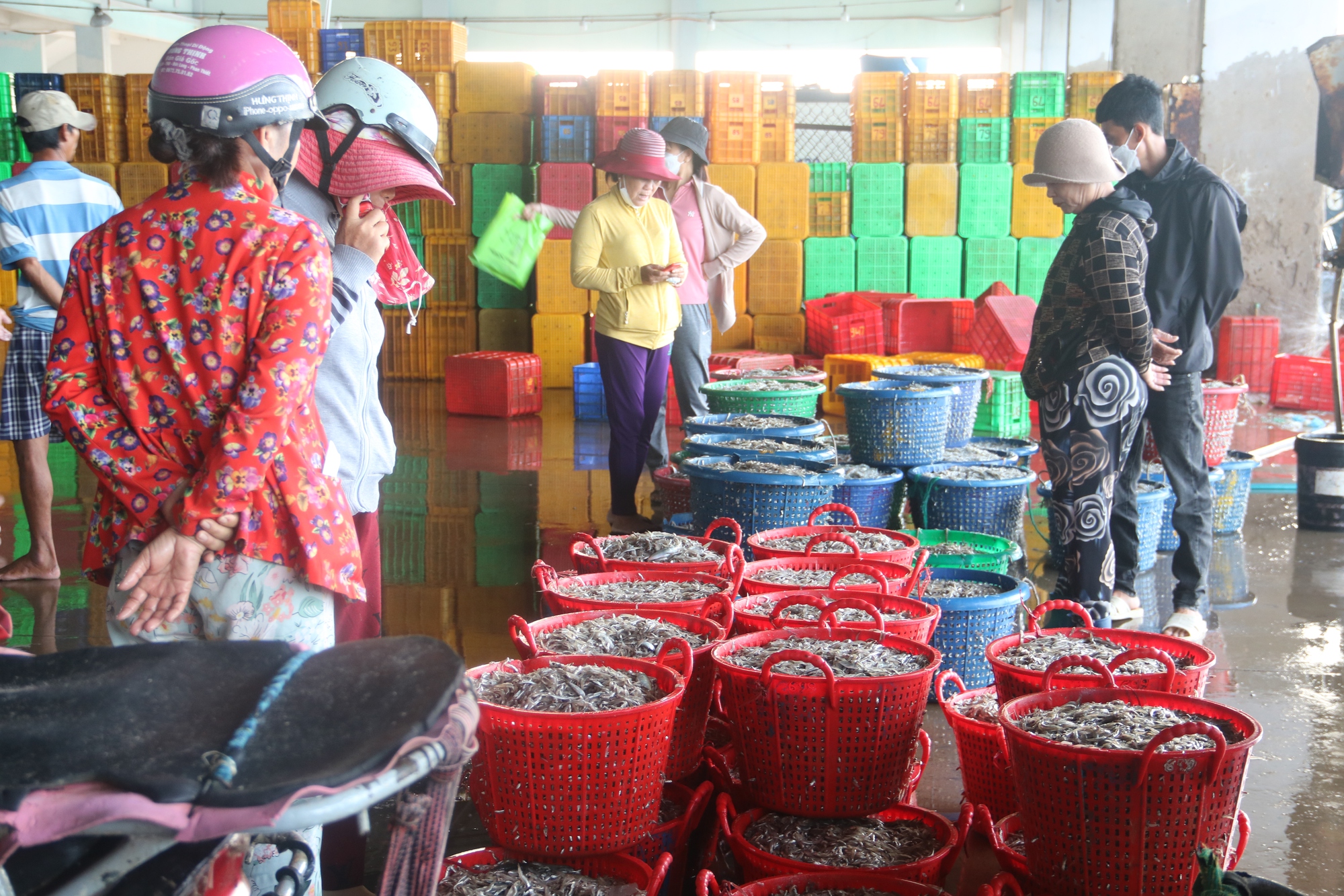 Ngư d&acirc;n B&igrave;nh Thuận tr&uacute;ng đậm c&aacute; cơm cao điểm vụ nam - Ảnh 4.