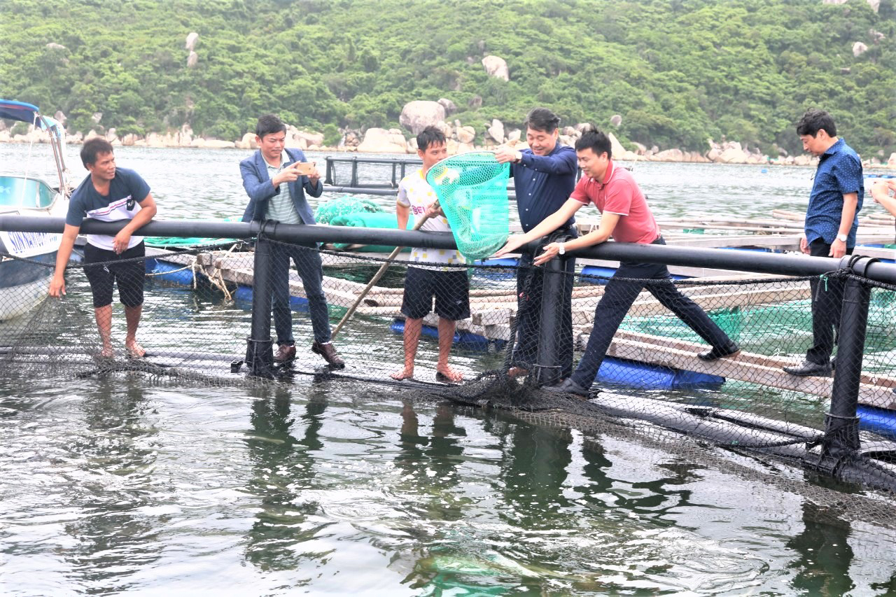 Sống trên "biển bạc" vẫn chưa thoát nghèo (*): Nuôi công nghiệp - giải pháp bền lâu