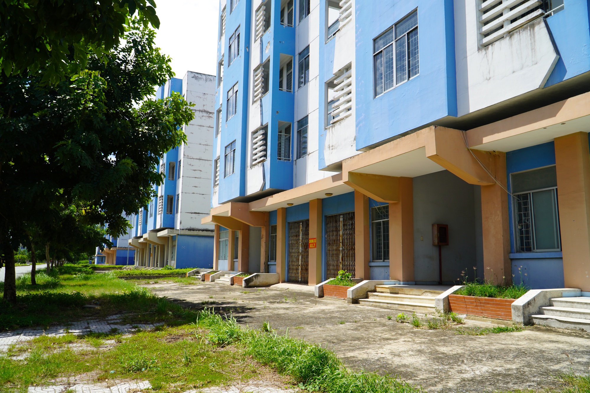 Dự án khu nhà ở Him Lam (quận 7) tiếp tục được cấp sổ hồng- Ảnh 2.