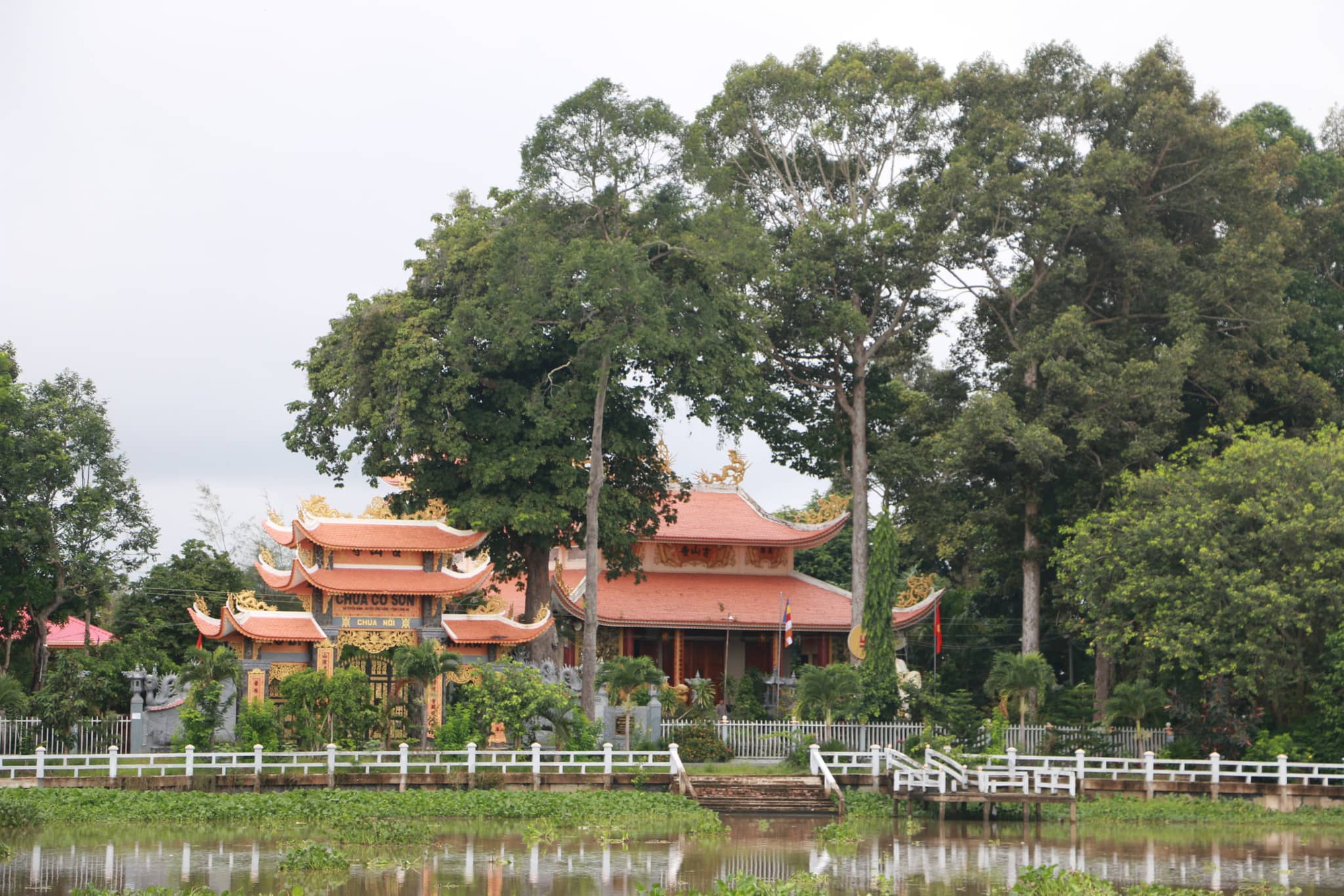 Chạy giữa Đồng Th&aacute;p Mười - Ảnh 4.