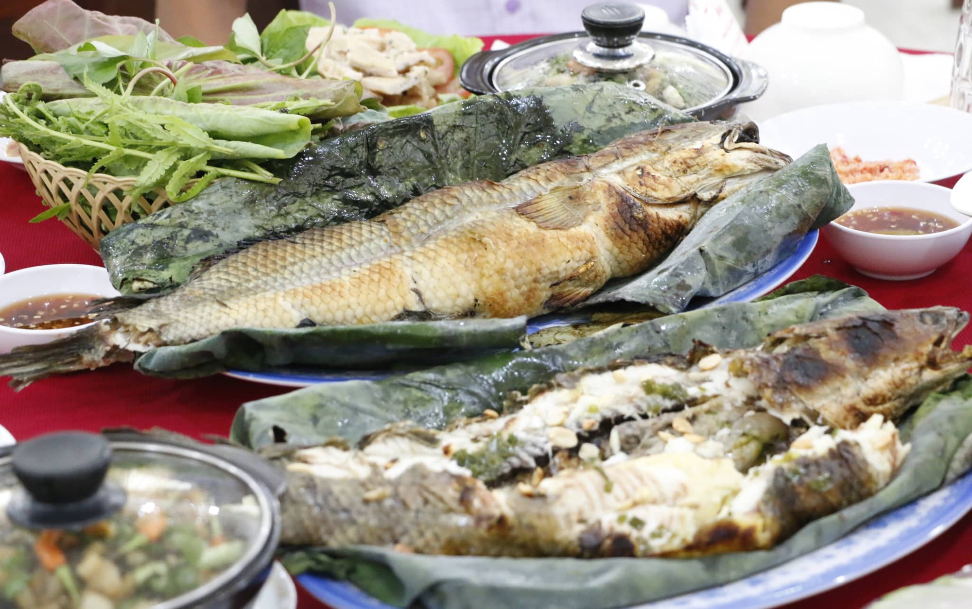Chạy giữa Đồng Th&aacute;p Mười - Ảnh 6.