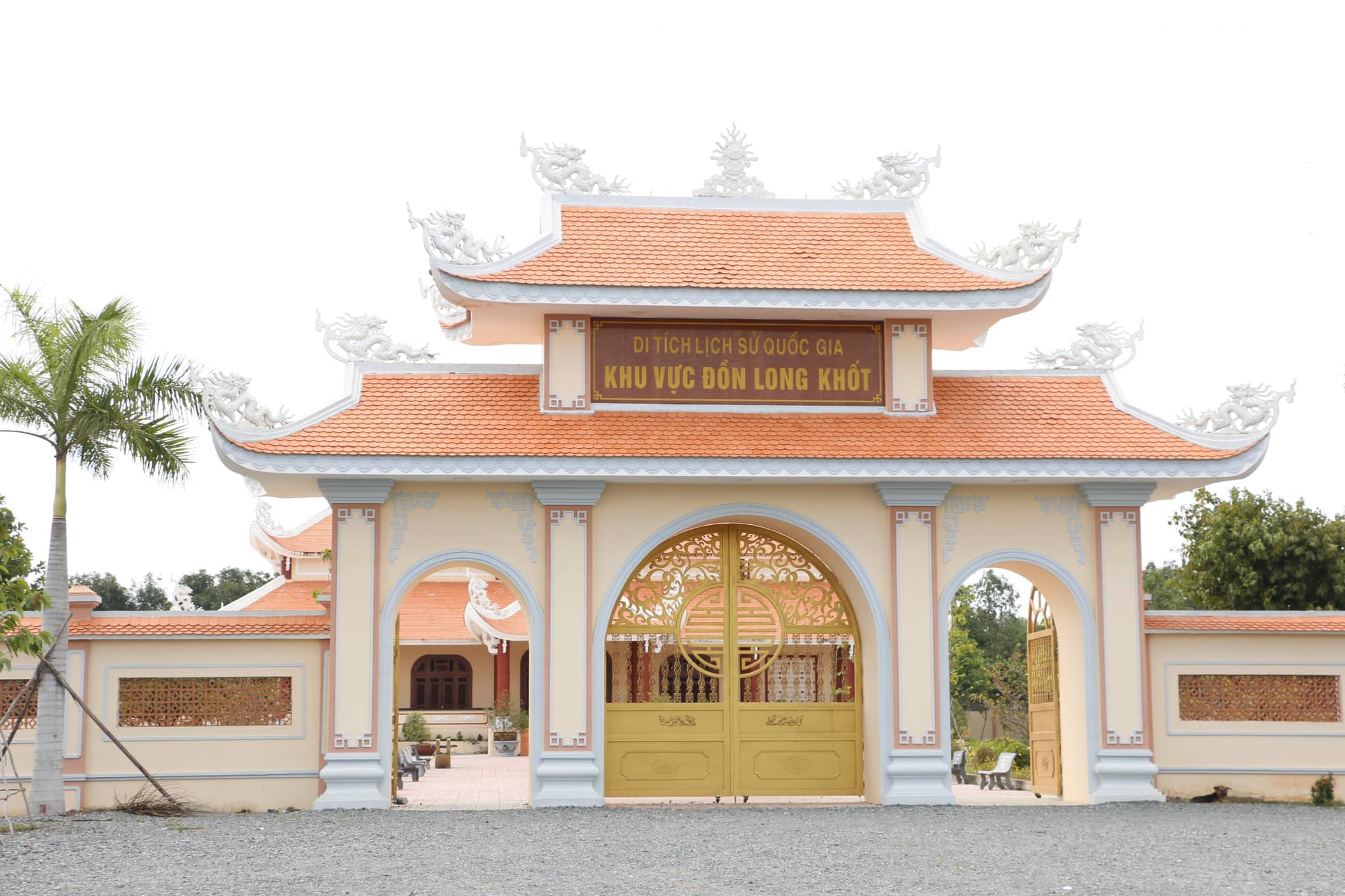 Chạy giữa Đồng Th&aacute;p Mười - Ảnh 3.