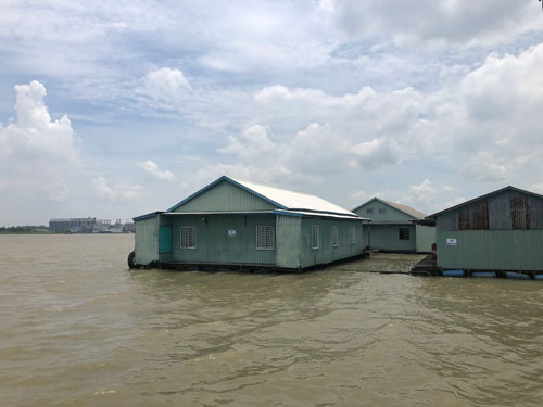 Nuôi cá lồng bè, thăng trầm như con nước - Ảnh 2.