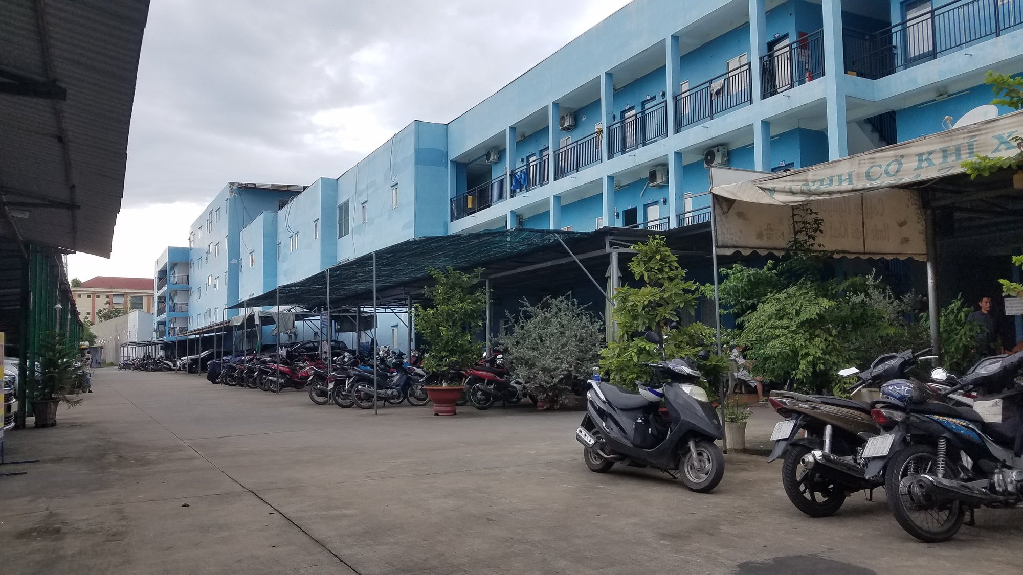 Cô gái hốt hoảng thấy bạn chết trong tư thế treo cổ - Ảnh 1.