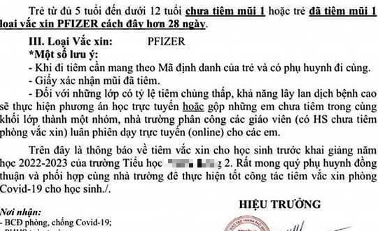 Diễn biến mới vụ học sinh không tiêm vắc-xin phải học online - Ảnh 1.
