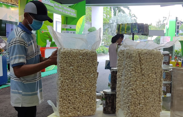 Đề phòng lừa đảo khi giao dịch thương mại quốc tế