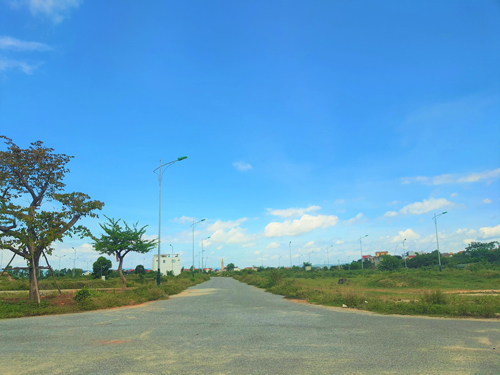 Nhiều khu dân cư không người, vắng nhà, đầy cỏ dại - Ảnh 1.