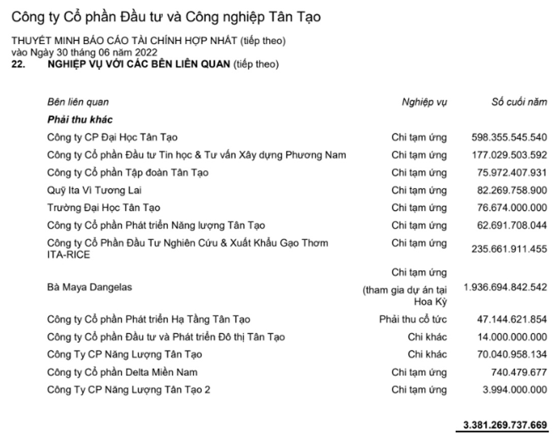 C&ocirc;ng ty T&acirc;n Tạo của b&agrave; Đặng Thị Ho&agrave;ng Yến c&ocirc;ng bố lại b&aacute;o c&aacute;o t&agrave;i ch&iacute;nh - Ảnh 1.