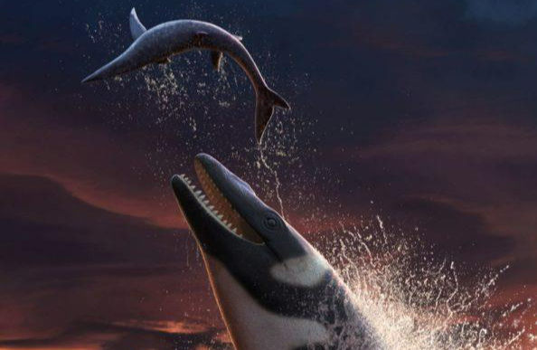 Phát hiện thủy quái lớn gấp đôi cá sấu, “lai” cá voi, rồng, rắn, T-rex