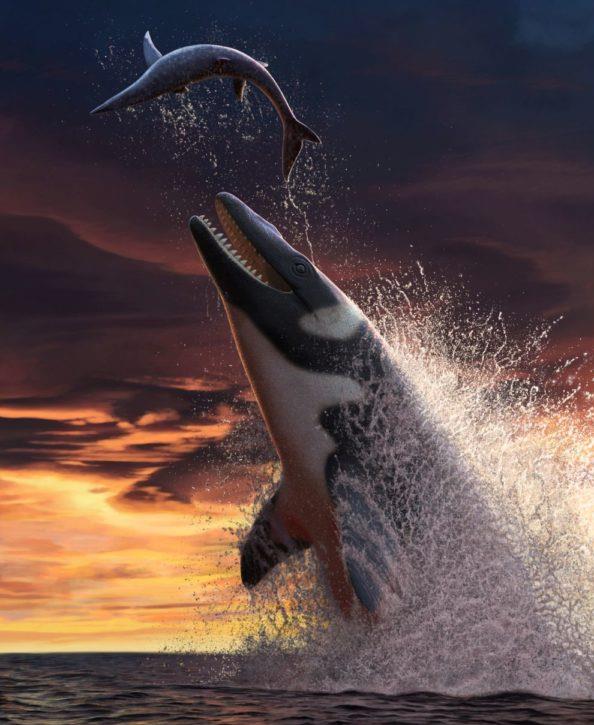 Ph&aacute;t hiện thủy qu&aacute;i lớn gấp đ&ocirc;i c&aacute; sấu, &ldquo;lai&rdquo; c&aacute; voi, rồng, rắn, T-rex - Ảnh 1.