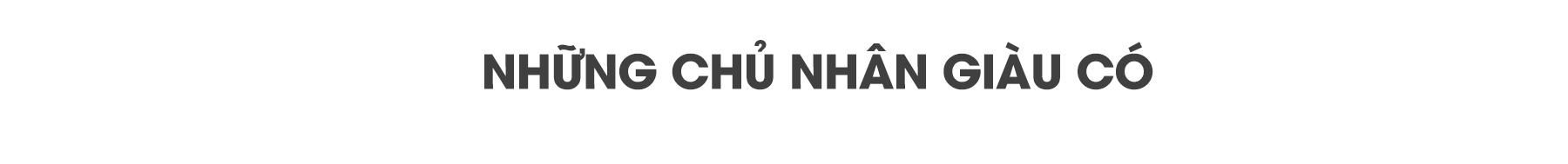 Biệt thự khiến muôn người thèm thuồng - Ảnh 5.