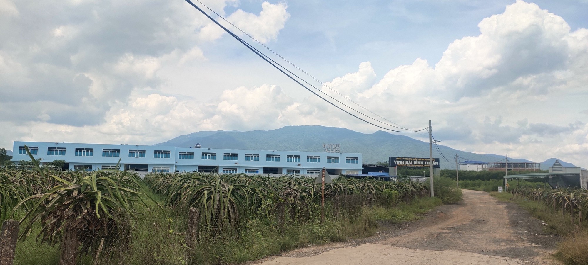 Bình Thuận: Đề nghị chuyển hồ sơ sang công an điều tra việc chuyển mục đích 45.000 m2 đất trái quy định