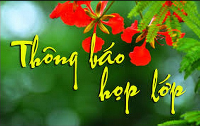 Đà Nẵng: Đi họp lớp, 2 thanh niên đánh bạn học nứt sọ