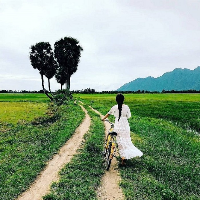 Check-in những c&acirc;y c&ocirc; đơn khắp Việt Nam - Ảnh 7.