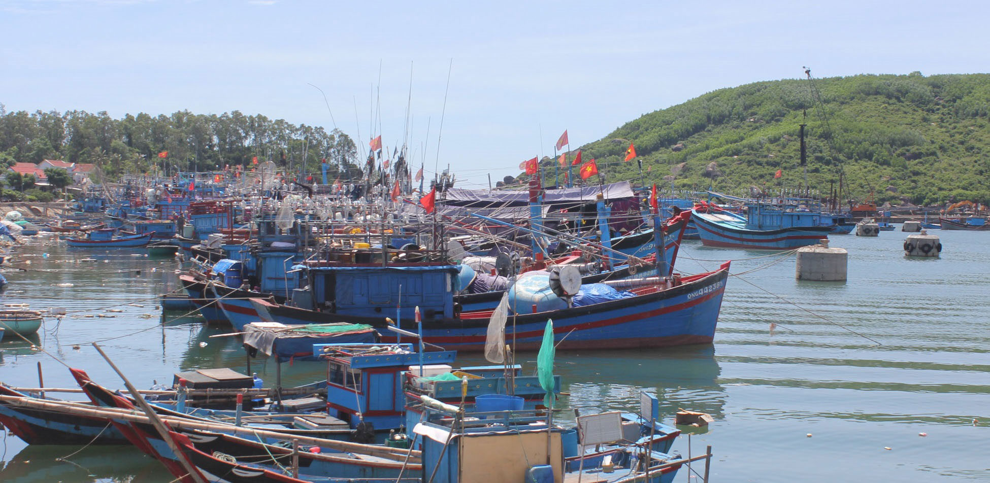 Cửa biển Mỹ Á hồi sinh