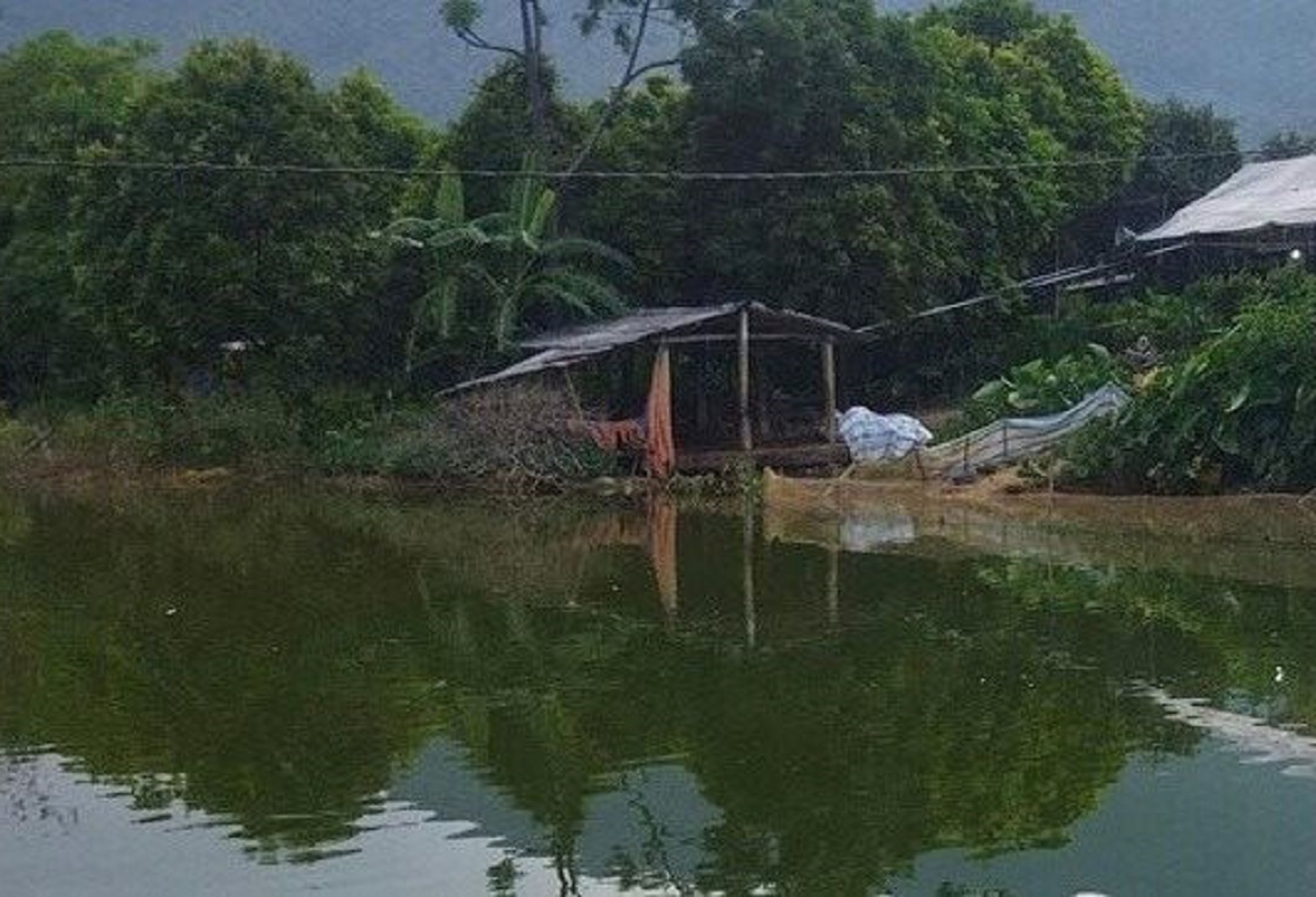 Bố mẹ làm ăn xa, 2 anh em ruột chết đuối thương tâm khi ra ao tắm