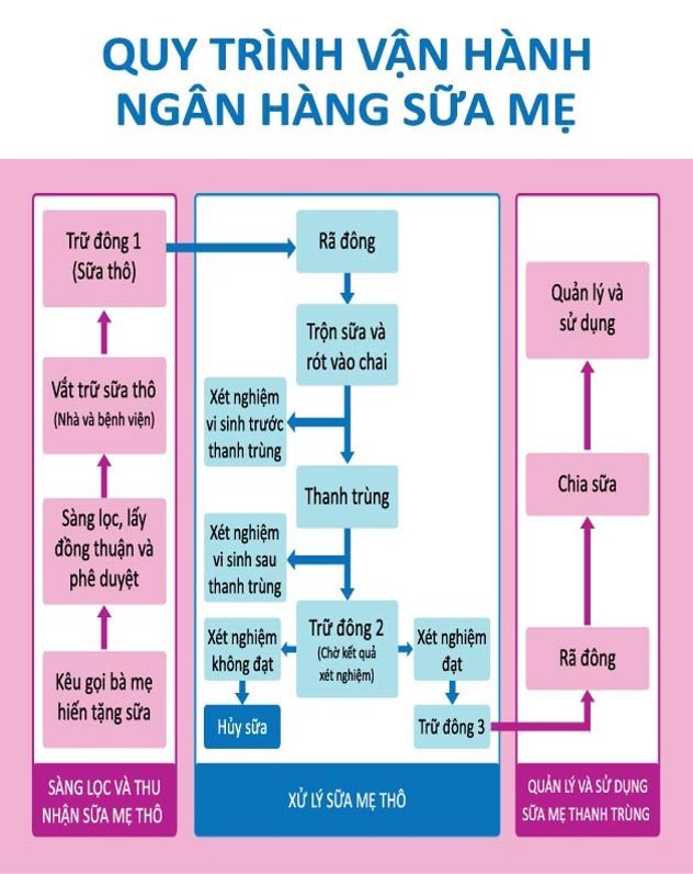 K&ecirc;u gọi phụ nữ mới sinh hiến sữa để gi&uacute;p nh&oacute;m trẻ sinh non, bệnh tật - Ảnh 4.