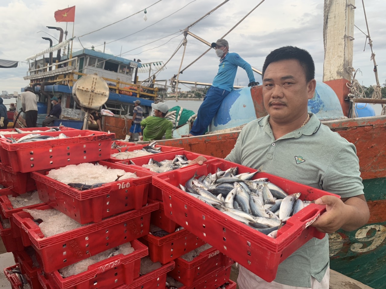 T&agrave;u c&aacute; ở Quảng B&igrave;nh thu 2,5 tỉ đồng nhờ tr&uacute;ng đậm c&aacute; nục sau 20 ng&agrave;y ra khơi - Ảnh 2.