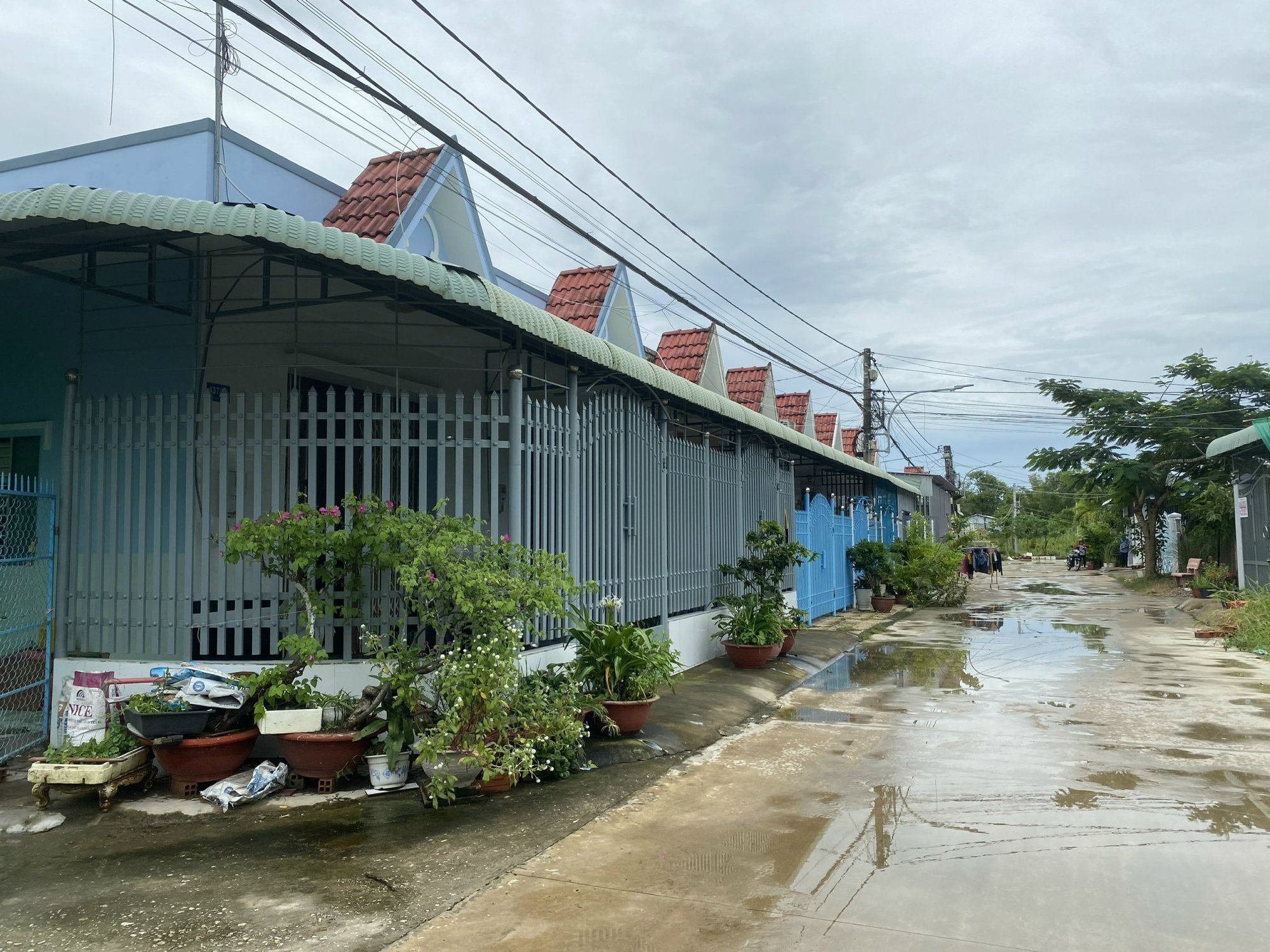 Đề nghị chuyển công an điều tra vụ sai phạm đất đai ở Sóc Trăng
