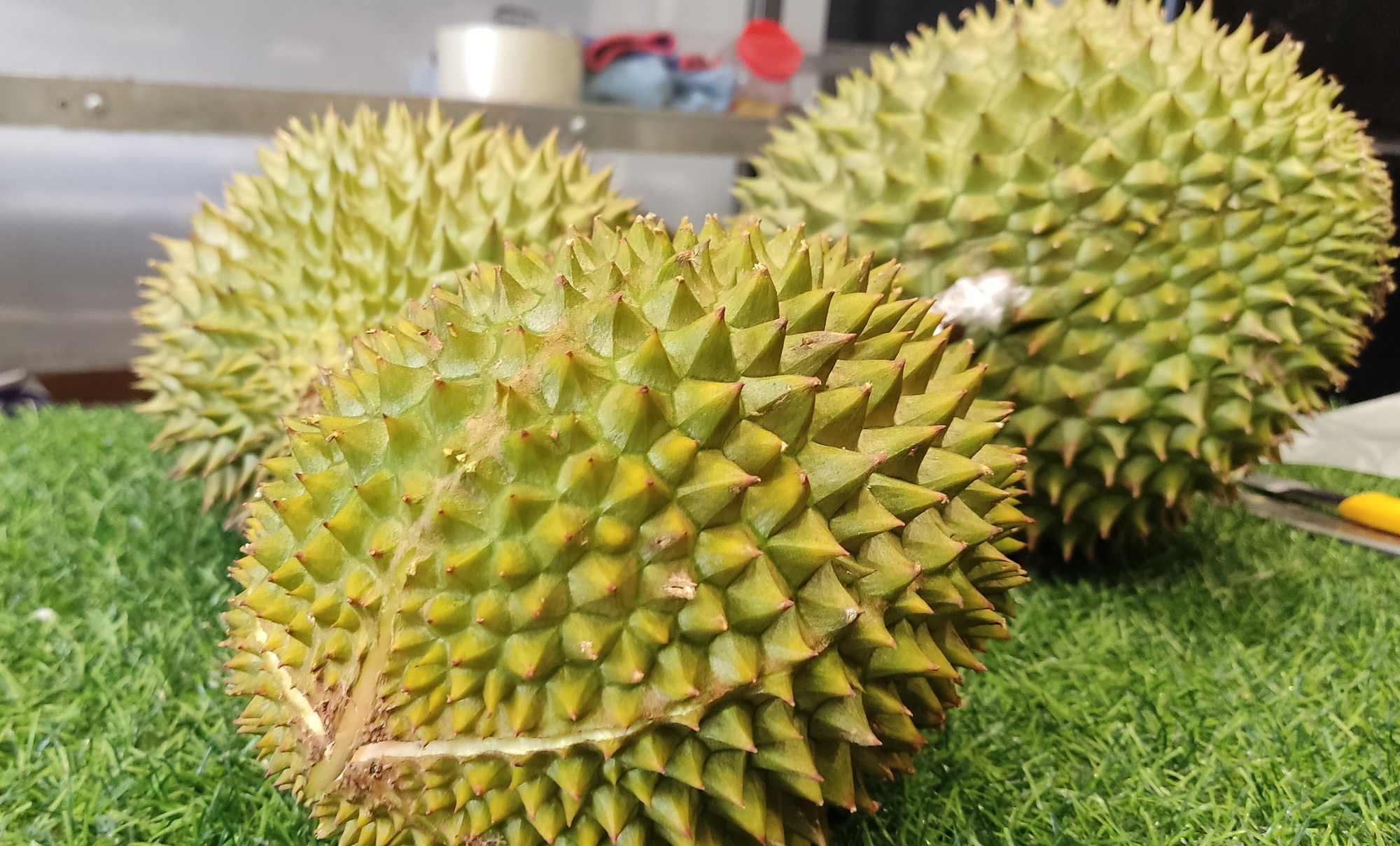 Ngăn chặn gian lận trong xuất khẩu sầu riêng sang Trung Quốc