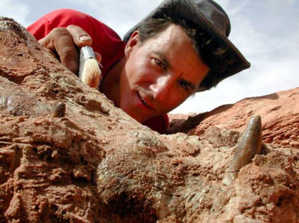 Siêu quái vật 12 m chuyên ăn thịt khủng long "hiện hình" ở Sahara