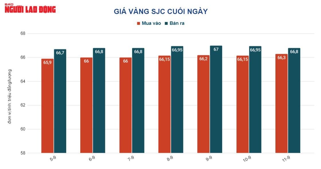 Gi&aacute; v&agrave;ng h&ocirc;m nay 12-9: V&agrave;ng thế giới tiếp tục lao dốc, v&agrave;ng SJC neo gi&aacute; cao - Ảnh 2.