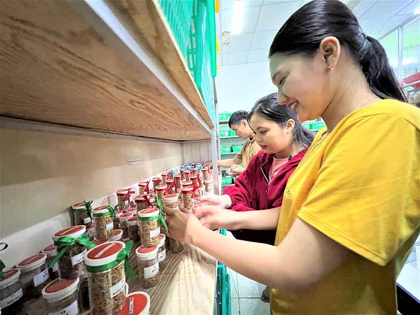 "Ngân hàng" giống lúa ở ĐBSCL