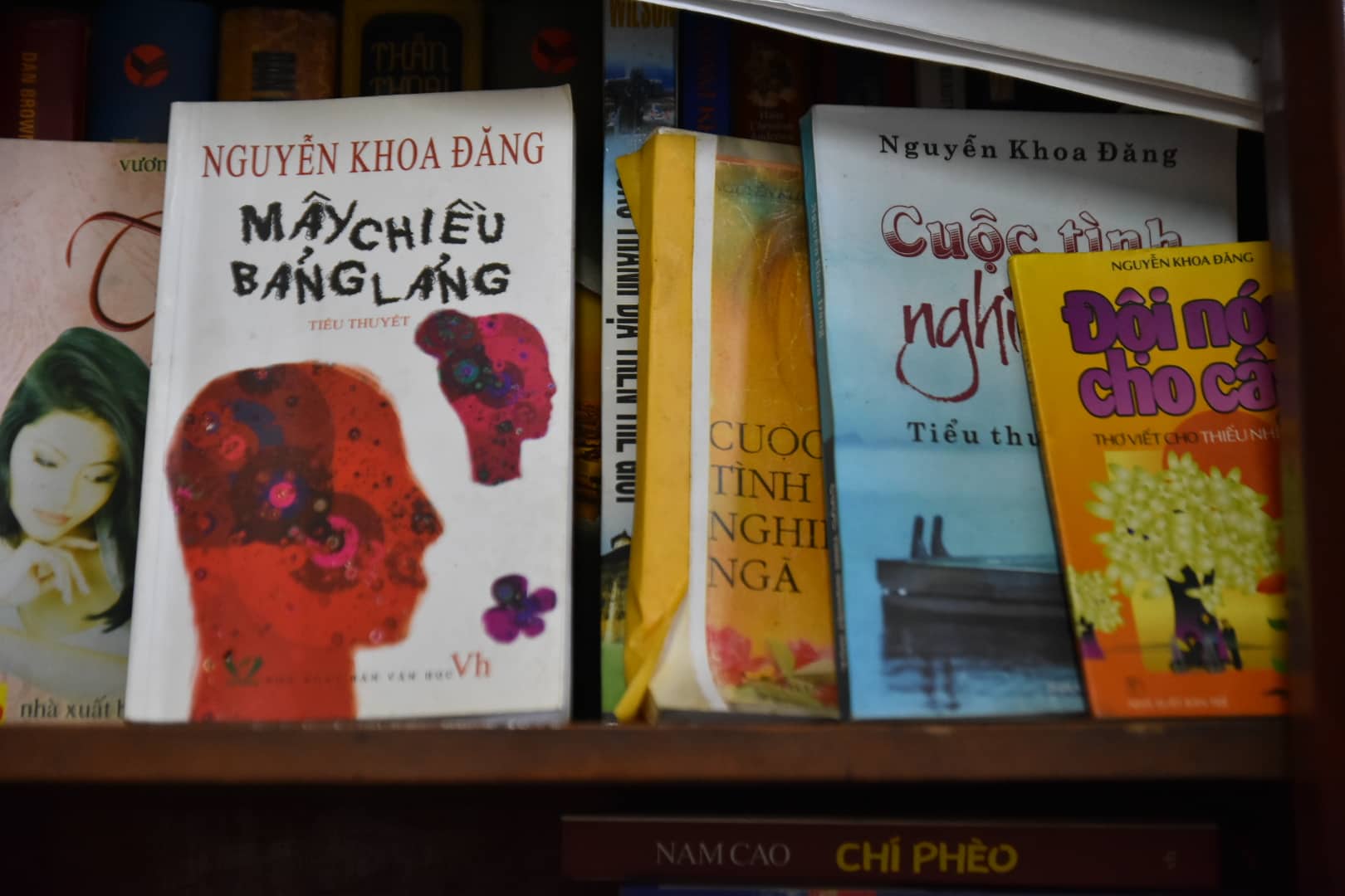 “Mai Vàng nhân ái” thăm nhà văn Nguyễn Ngọc Ký, Nguyễn Khoa Đăng - Ảnh 5.