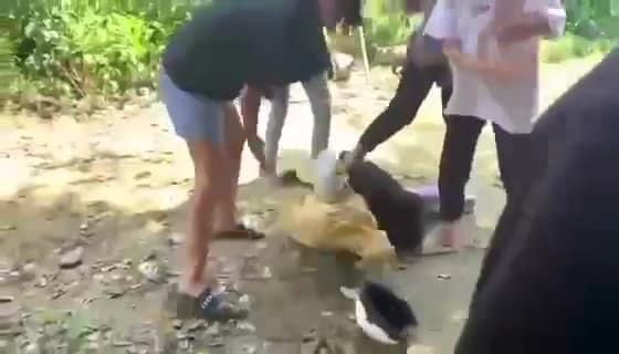 Nữ sinh lại bị đánh, lột đồ ở Đồng Nai